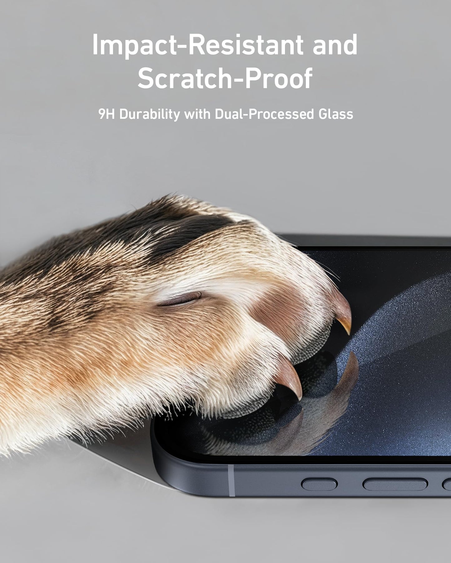 Anker Easy Fit Screen Protector Kit (HD, 2-Pack)