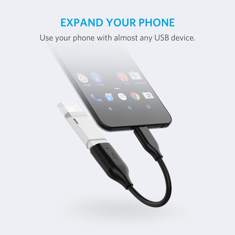Anker USB-C to USB 3.1 Adapter